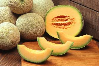 Can You Share Cantaloupe With Your Cat?