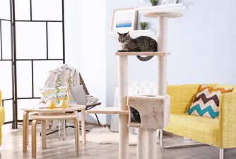 9 Best Cat Trees For Large Cats To Choose From