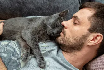 6 Reasons Why Does Cats Sleep On Owners