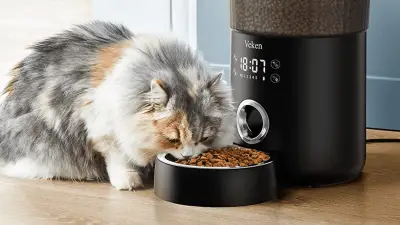 7 Best Automatic Cat Feeders in 2022
