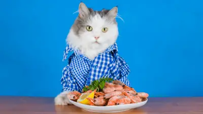 Mogu li mačke jesti škampe? Koji su rizici?