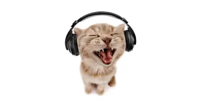 Vole li mačke glazbu? [Istraživanje]