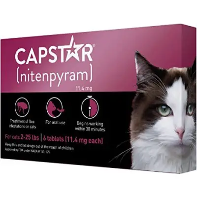Capstar for kittens