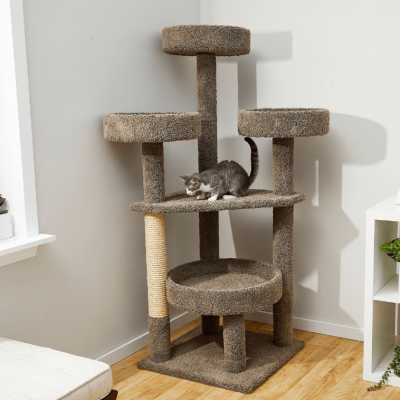 frisco 76 in xxl cat tree