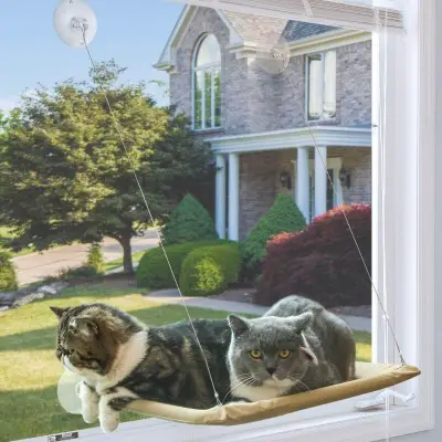 NOYAL Cat Resting Window Perch
