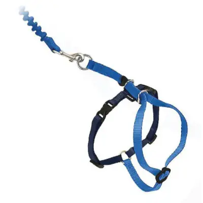 PetSafe Come With Me Kitty Nylon Cat Harness & Bungee Leash