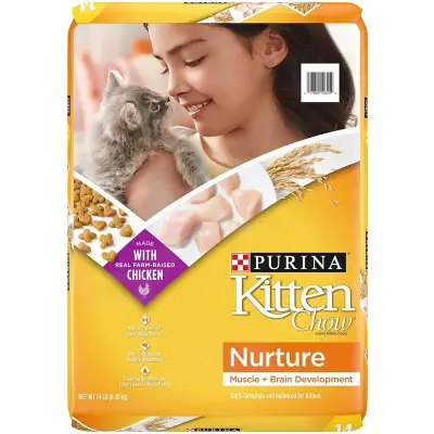Purina Kitten Chow Dry Kitten Food