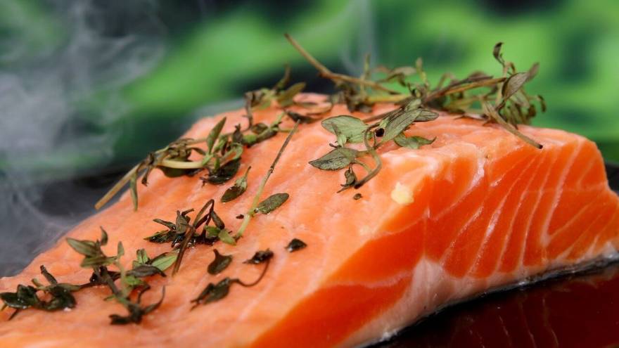 What Types Of Salmon Can Cats Eat?