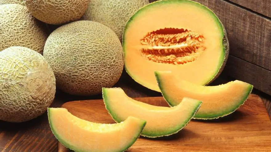 Can You Share Cantaloupe With Your Cat?