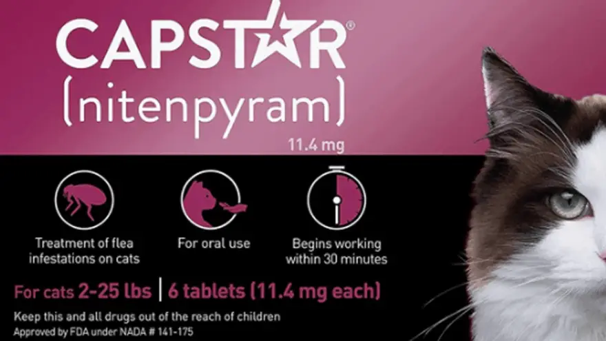 Capstar for Kittens: Dosage, Treatment & Effectiveness