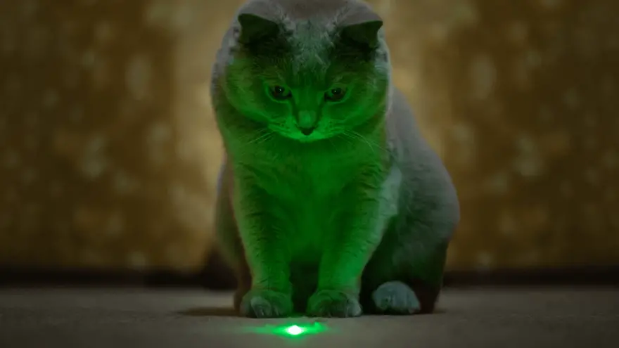 Jesu li laserski pokazivači loši za mačke?