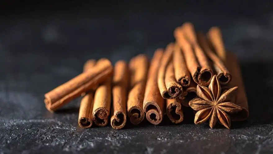 Will Cinnamon Cause Health Problems For My Cat?
