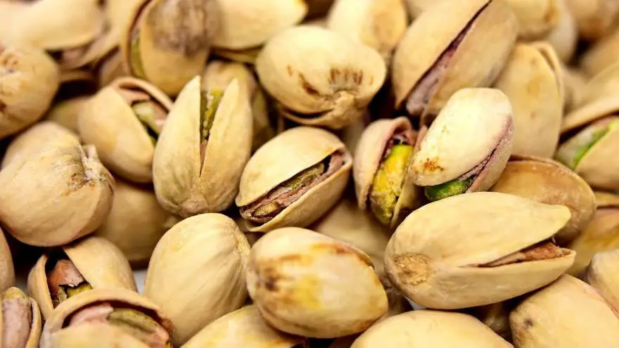 Why Sharing A Pistachios With Your Cat Is Not A Smart Idea?