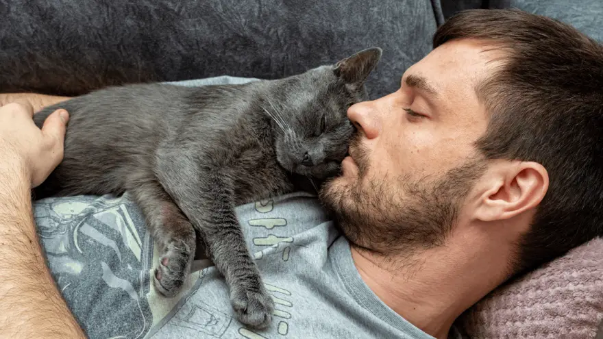 6 razloga zašto mačke spavaju na vlasnicima