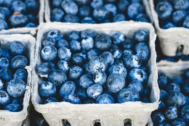 blueberries packed