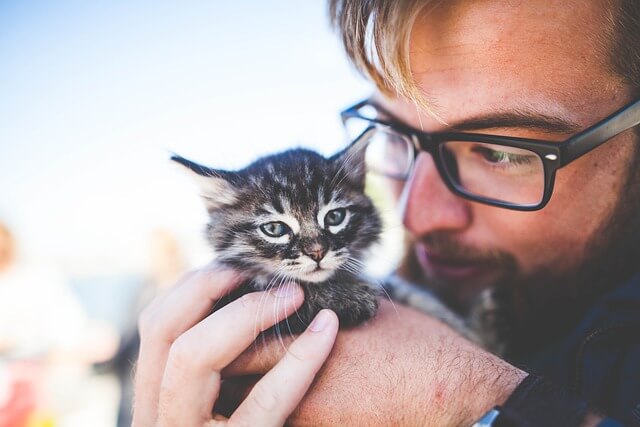 cat and owner