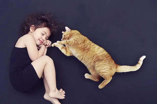 cat and owner sleeping