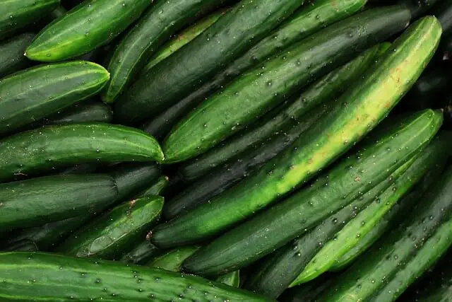 cucumbers in crates