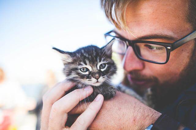 kitten with a man