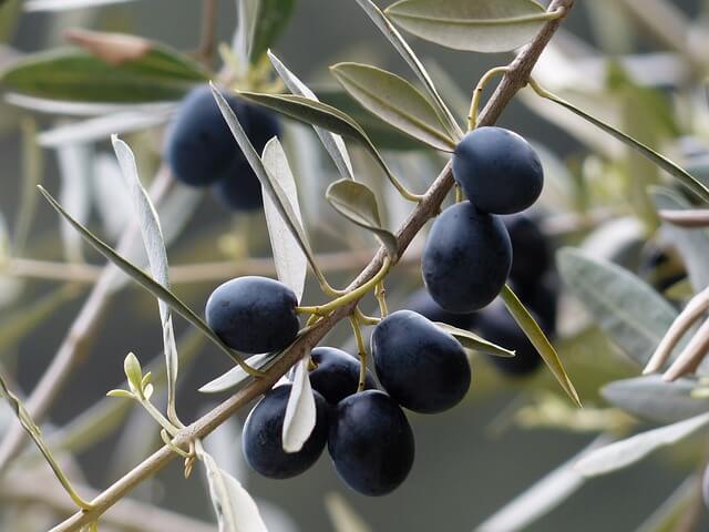 olives