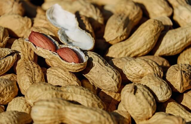 peanuts in shell