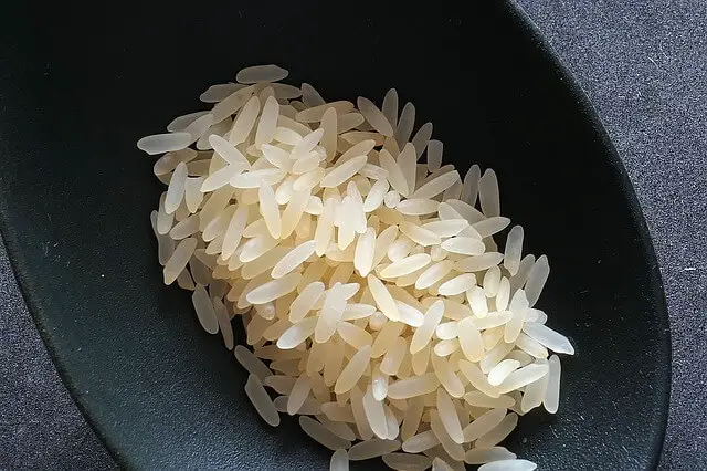 rice on plate