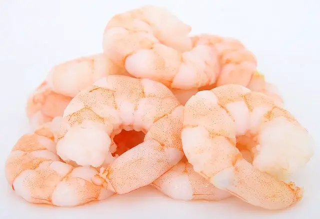 shrimp tails