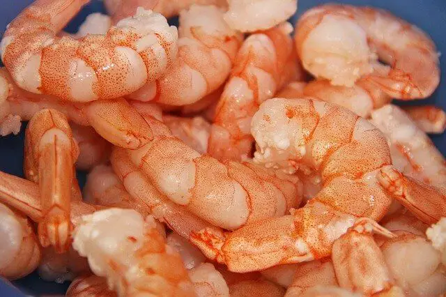 shrimp-zoomed